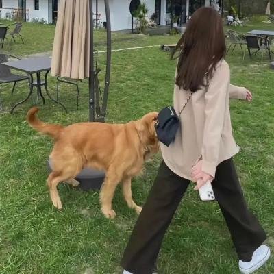 烈火如歌